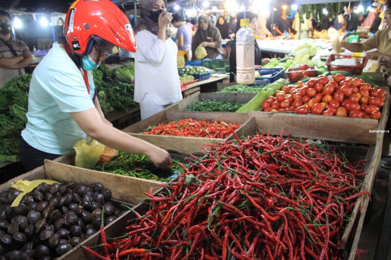 Harga Cabai Merah Tembus Rp 70 Ribu per Koli  Metropolis