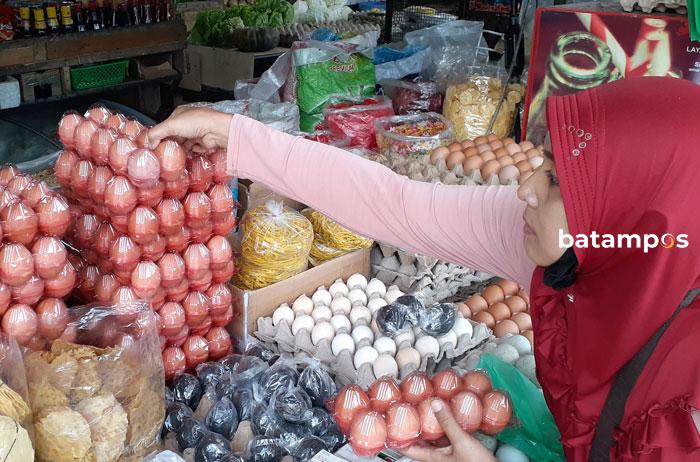 Distributor Klaim Harga Telur Mulai Turun di Batam 1 Harga Telur Naik fff Iman Wachyudi