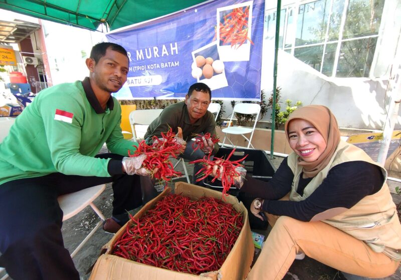 Cabai Merah Dalil Harahap1 scaled e1658915476112