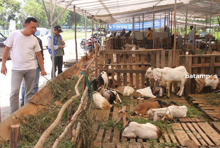 Hewan Kurban Kambing BanyakYang Mati 1 F Cecep Mulyana